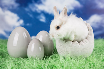 Easter rabbit in a shell of eggs. Pastel eggs.