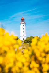 Fototapeta na wymiar Lighthouse Dornbusch on the island Hiddensee, Ostsee, Germany