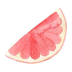 Watercolor grapefruit fruit. Hand drawn summer illustration. Design for fabric, packaging, textile, cover, postcard, paper, stationery, scrapbooking, wrapping, clothes, stickers, cards, posters, logo
