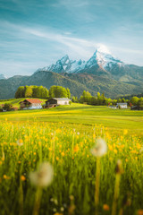 Idyllic landscape in the Alps with blooming meadows in springtime
