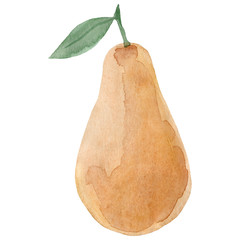 Watercolor pear fruit. Hand drawn summer illustration. Design for fabric, packaging, textile, cover, postcard, paper, stationery, scrapbooking, wrapping, clothes, stickers, cards, posters, logo