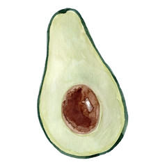 Watercolor avocado fruit. Hand drawn summer illustration. Design for fabric, packaging, textile, cover, postcard, paper, stationery, scrapbooking, wrapping, clothes, stickers, cards, posters, logo