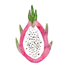 Watercolor Pitaya fruit. Hand drawn summer illustration. Design for fabric, packaging, textile, cover, postcard, paper, stationery, scrapbooking, wrapping, clothes, stickers, cards, posters, logo