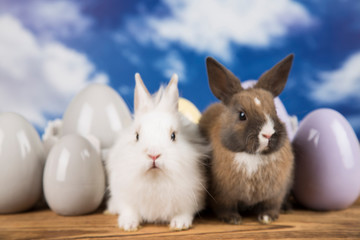 Easter rabbits. Colorful eggs.