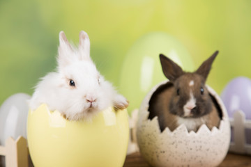 Easter rabbit in a shell of eggs. Pastel eggs.