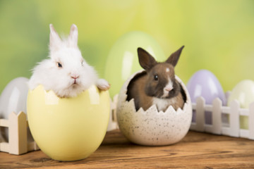 Easter rabbit in a shell of eggs. Pastel eggs.