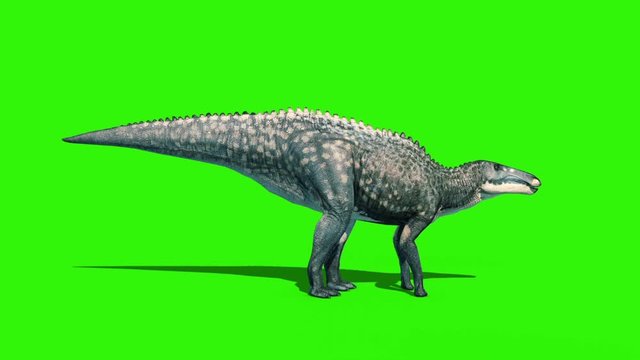 Shantungosaurus Roar Green Screen Side Jurassic World 3D Rendering Animation