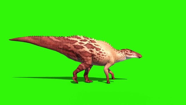 Shantungosaurus Walkcycle Green Screen Side Skin 2 Jurassic World 3D Rendering Animation