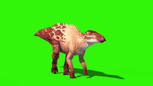 Shantungosaurus Walkcycle Green Screen Skin 2 Jurassic World 3D Rendering Animation