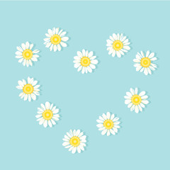 Set of White daisy or chamomile for background.Isolated. Vector illustration