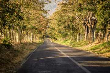 Road