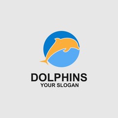 Dolphins logo template