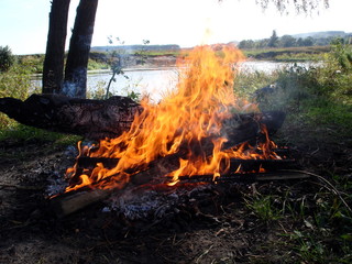 fire, flame, burning, bonfire, heat, campfire, wood, burn, hot, coal, firewood, red, smoke, flames, orange, fireplace, charcoal, black, barbecue, light, yellow, blaze, camping, outdoors, ash
