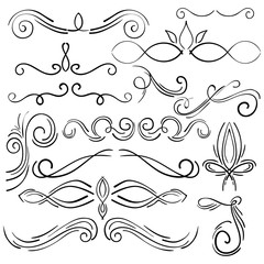 Fototapeta premium Doodle set of curls border text dividers. Hand drawn abstract text dividers, wedding decor design elements. Hand-drawn with ink and brush vector illustration 