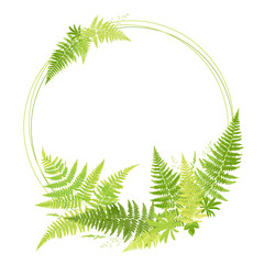 Frame with fern leaves. Template for the invitation. Wild field herbs. Forest background. Banner with foliage. Geometric frame