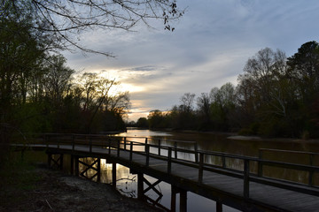 Fototapeta na wymiar wooden walkway on a swampy riverbank 