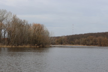  The shore of a forest lake is empty and crowded in early spring