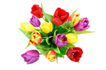 Fototapeta na wymiar Top view of fresh multi colored tulips flowers bouquet isolated on a white background in close-up