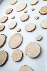Pine tree cross-sections with annual rings on plane white surface. Lumber piece close-up shot.