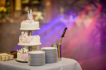 Obraz na płótnie Canvas Delicious tasty wedding cake detail