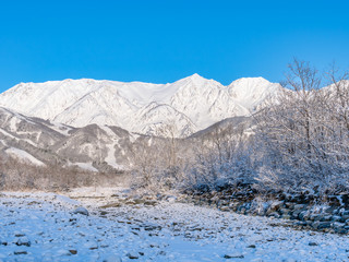 長野県白馬村 雪山の雪景色