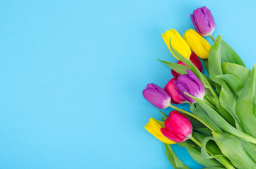 Bouquet of spring multicolored tulips on bright background.