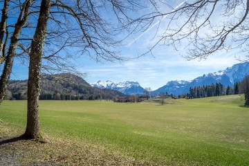 Frühlingswiese mit Schnee Bergen Tennengebirge
