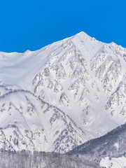 長野県白馬村 雪山の雪景色
