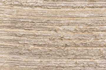 Close up on a white painted wooden plank as abstract background. Copy space for your text.