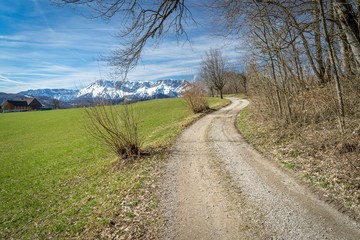 Einsamer Weg im Frühling mit Schneebedeckten Bergen