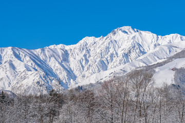 白馬村の雪山の雪景色 Wall Mural Wallpaper Murals Cwa