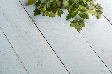Fresh parsley on  wooden background with copy space