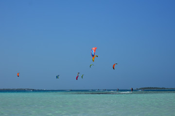 People practicing kitesurfing on a beautiful summer day - Caribbean - Archipelago of Los Roques - Venezuela