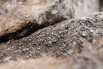stones on beach