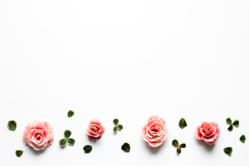 Spring Background With Pink Begonia Flowers And Clover Leaves