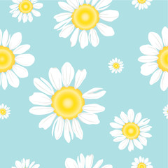 Seamless pattern of White daisy or chamomile for background.Isolated. Vector illustration