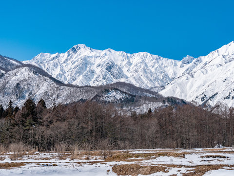 長野県白馬村 雪山の雪景色