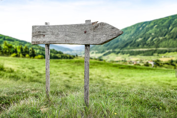 Spring signpost and green landscape 
