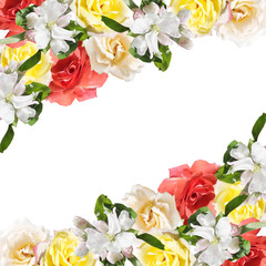 Beautiful floral background of roses and Apple blossom
