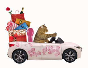 The cat drives a car painted with beautiful pink flowers with gift bags. White background. Isolated.