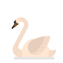 Swan bird with white feather © inspiring.team
