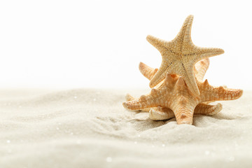 Fototapeta na wymiar starfish in sand, isolated on white background
