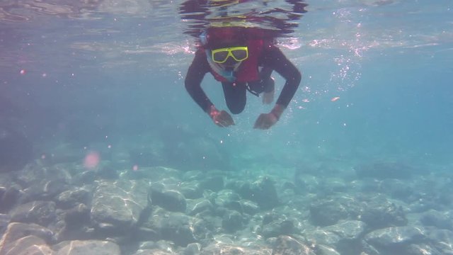 Snorkeling on the gorgeous sea, crystal clear blue sea water with its stark natural beauty, it's definitely worth spending time for browsing undersea world.
