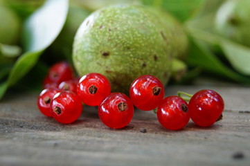 berries of red currant