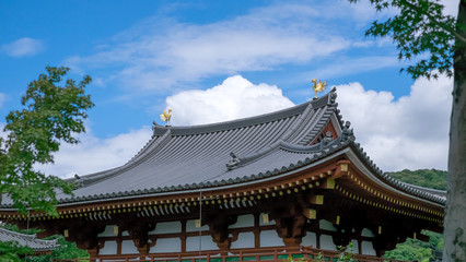 Fototapeta premium 寺