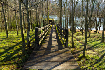 Pasarela de madera hacia observatorio de aves