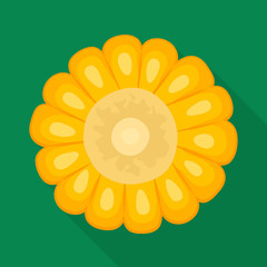 Isolated object of corn and cob logo. Set of corn and hot stock symbol for web.