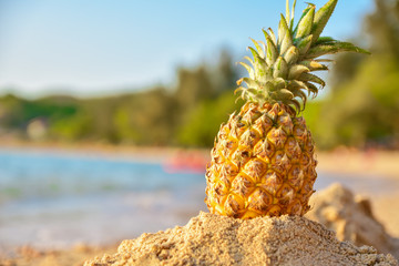 pineapple on beach and sea view background,Summer holiday concept