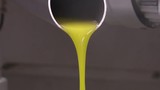 Dall'oliva all'olio