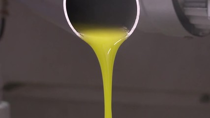 Dall'oliva all'olio